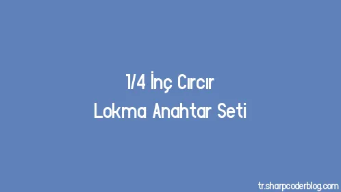 1/4 İnç Cırcır Lokma Anahtar Seti - Thumbnail