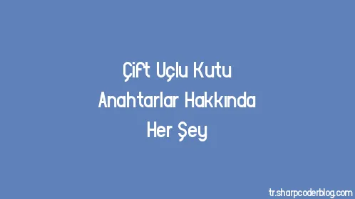 Çift Uçlu Kutu Anahtarlar Hakkında Her Şey - Thumbnail