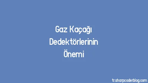 Gaz Kaçağı Dedektörlerinin Önemi - Thumbnail