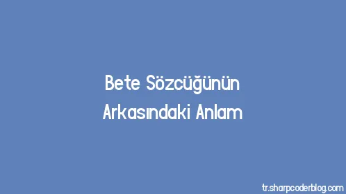 Bete Sözcüğünün Arkasındaki Anlam - Thumbnail