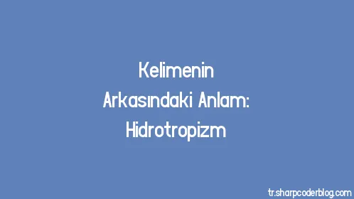 Kelimenin Arkasındaki Anlam: Hidrotropizm - Thumbnail