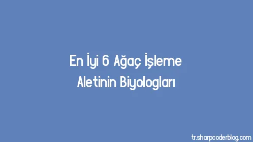 En İyi 6 Ağaç İşleme Aletinin Biyologları - Thumbnail