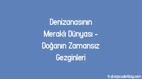 Denizanasının Meraklı Dünyası - Doğanın Zamansız Gezginleri - Thumbnail