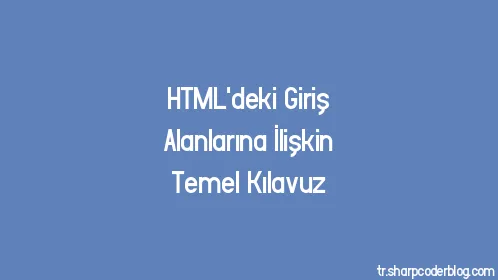 HTML'deki Giriş Alanlarına İlişkin Temel Kılavuz - Thumbnail