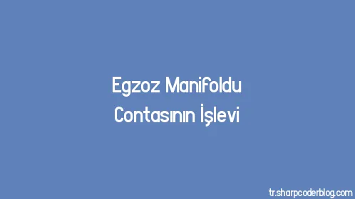 Egzoz Manifoldu Contasının İşlevi - Thumbnail