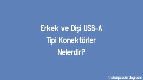 Erkek ve Dişi USB-A Tipi Konektörler Nelerdir? - Thumbnail